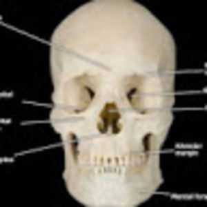 Meet your Posher, Siale